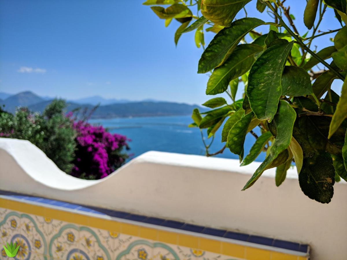 Villa Delle Agavi Vietri Buitenkant foto