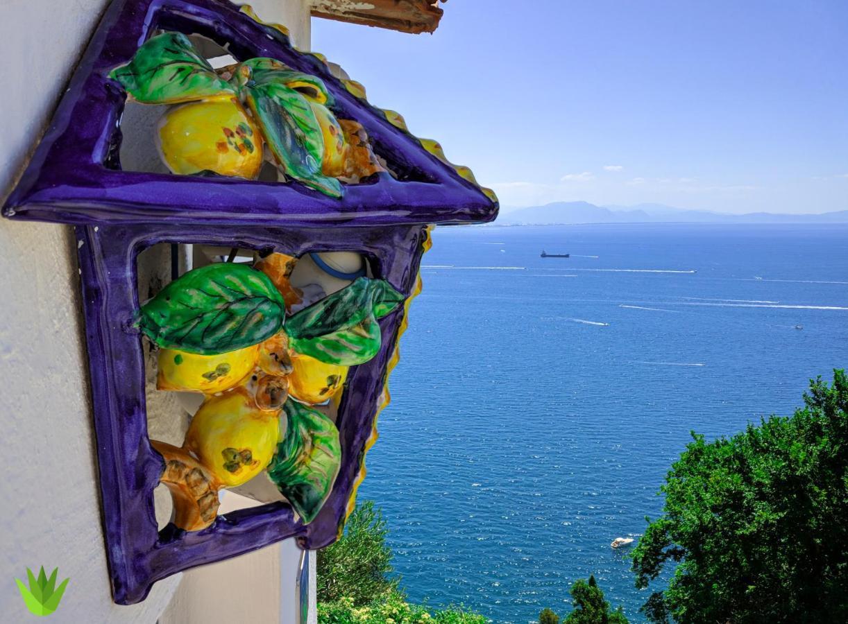 Villa Delle Agavi Vietri Buitenkant foto