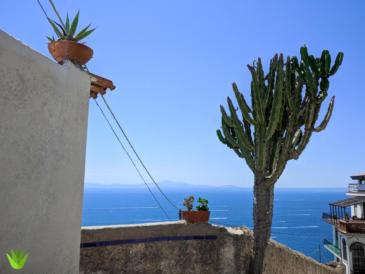 Villa Delle Agavi Vietri Buitenkant foto